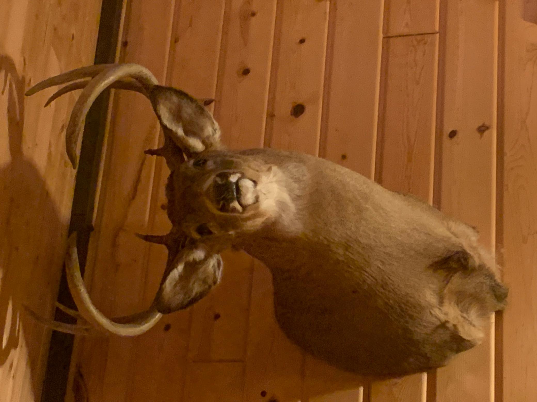 29031 French Road Oakland, WI 54830 - Photo 34 of 36