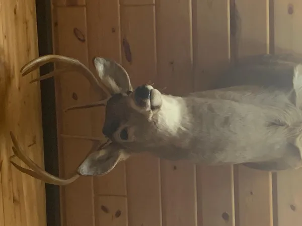 $395,000 | 29031 French Road, Oakland, WI 54830