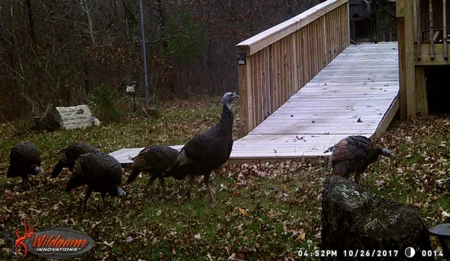 $395,000 | 29031 French Road, Oakland, WI 54830