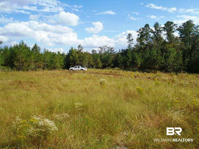 0 Pine Street Eight Mile, AL 36613 - Photo 1 of 5