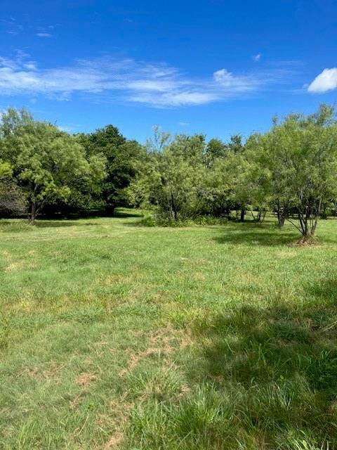 248 South Jacobs Street Albany, TX 76430 - Photo 17 of 17 Serene native landscaped extra lot.