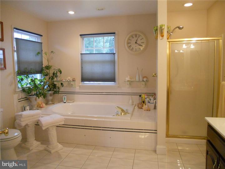 520 Augusta Drive West Sinking Spring, PA 19608 - Photo 12 of 15 Master Bathroom