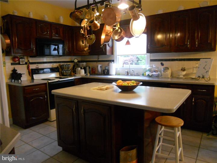 520 Augusta Drive West Sinking Spring, PA 19608 - Photo 6 of 15 Kitchen