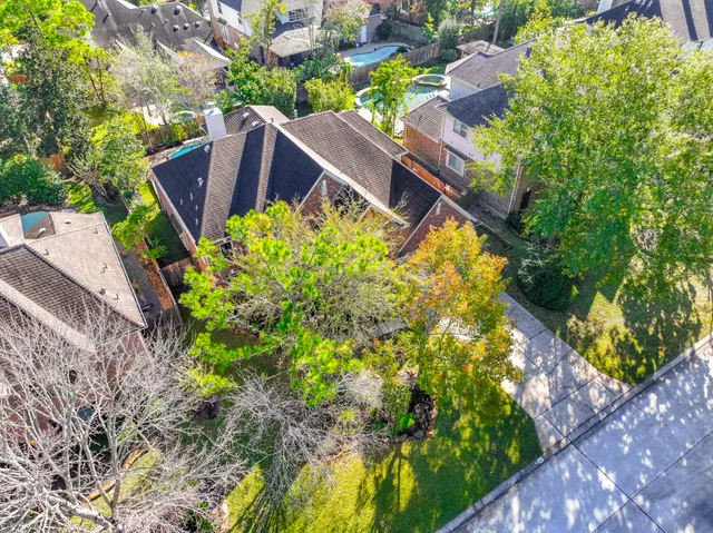 a view of a backyard with plants