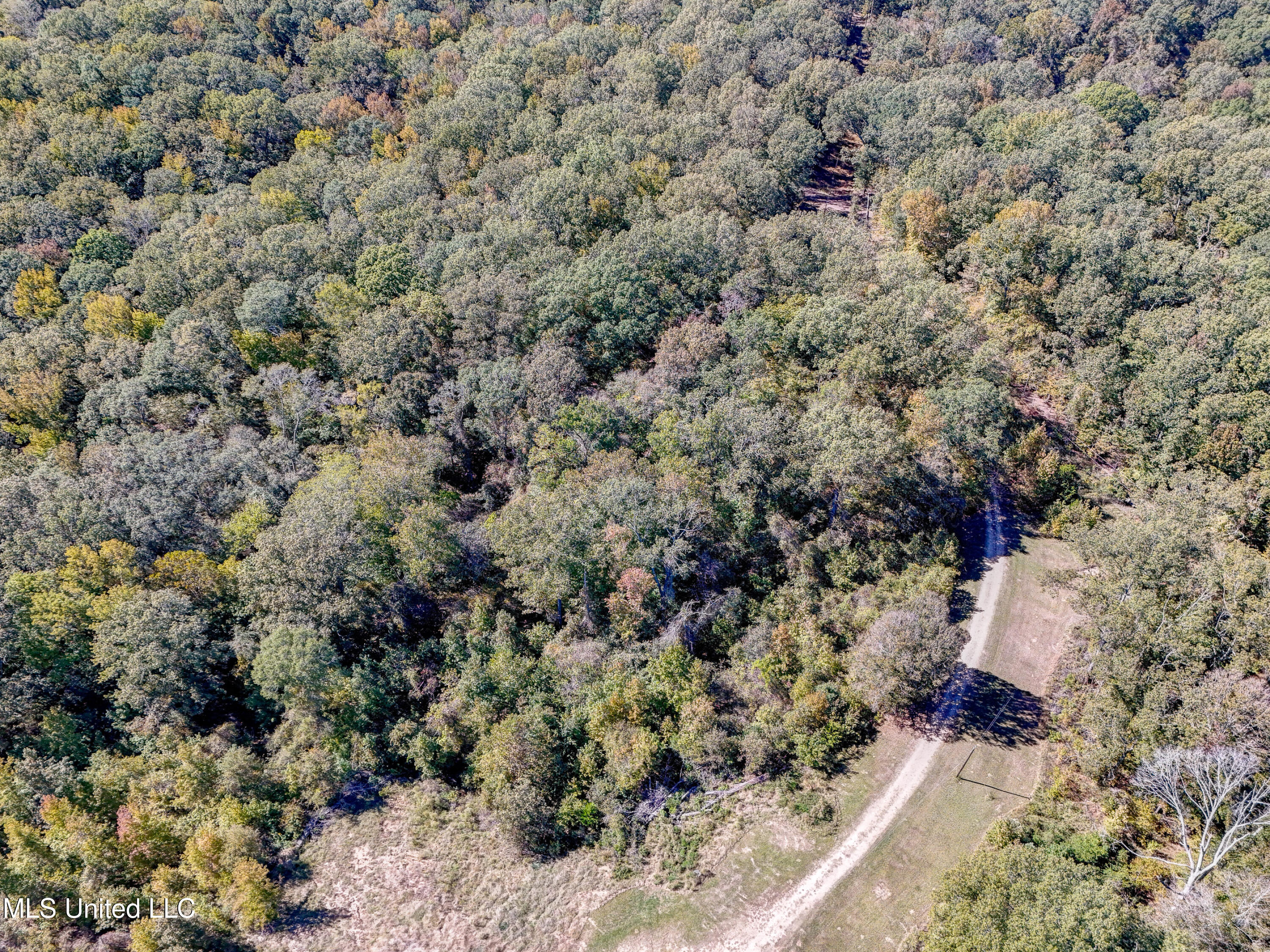 250 Hilderbrand Road Bentonia, MS 39040 - Photo 42 of 44 Acreage View