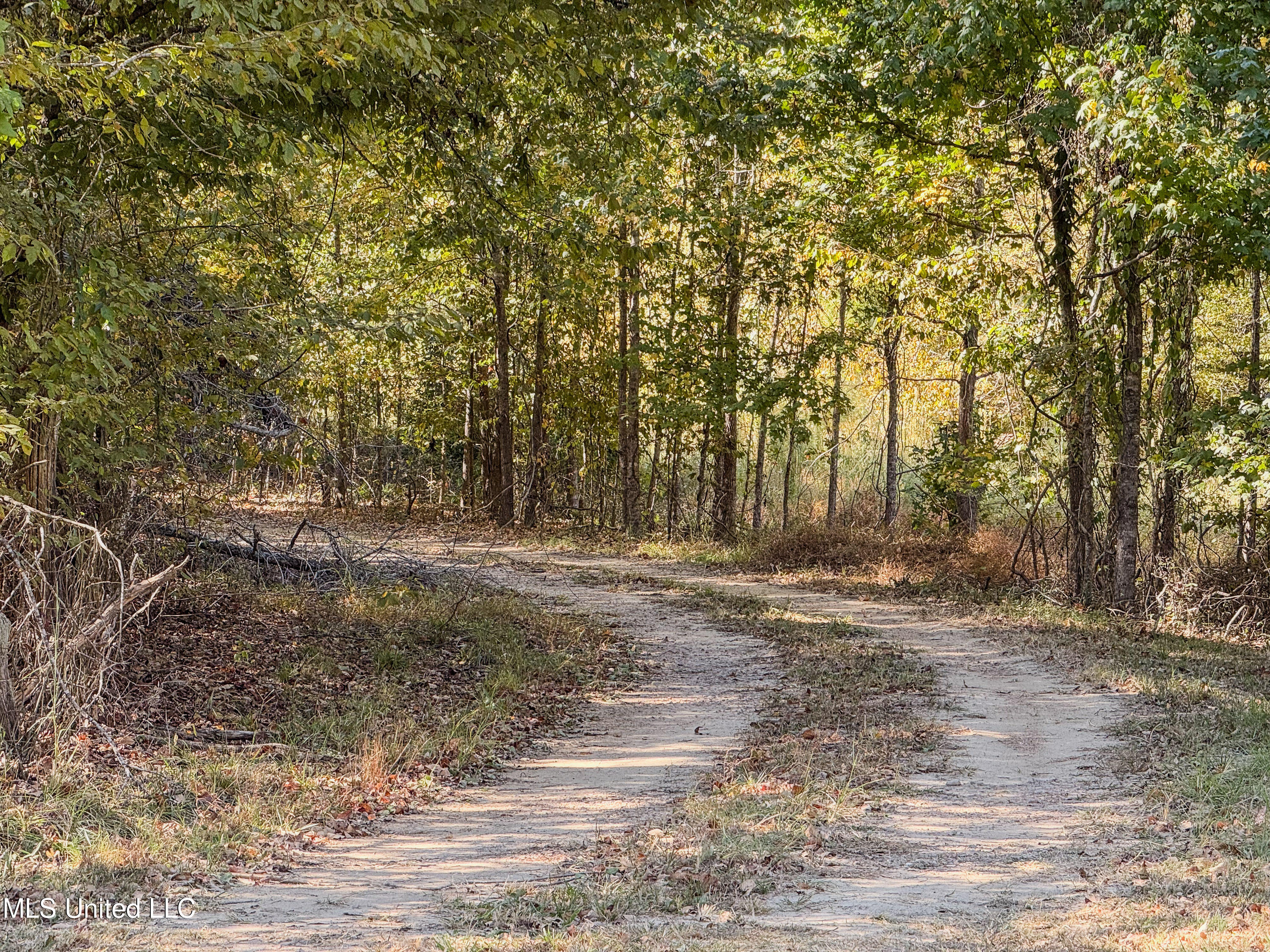 250 Hilderbrand Road Bentonia, MS 39040 - Photo 43 of 44 Private Driveway