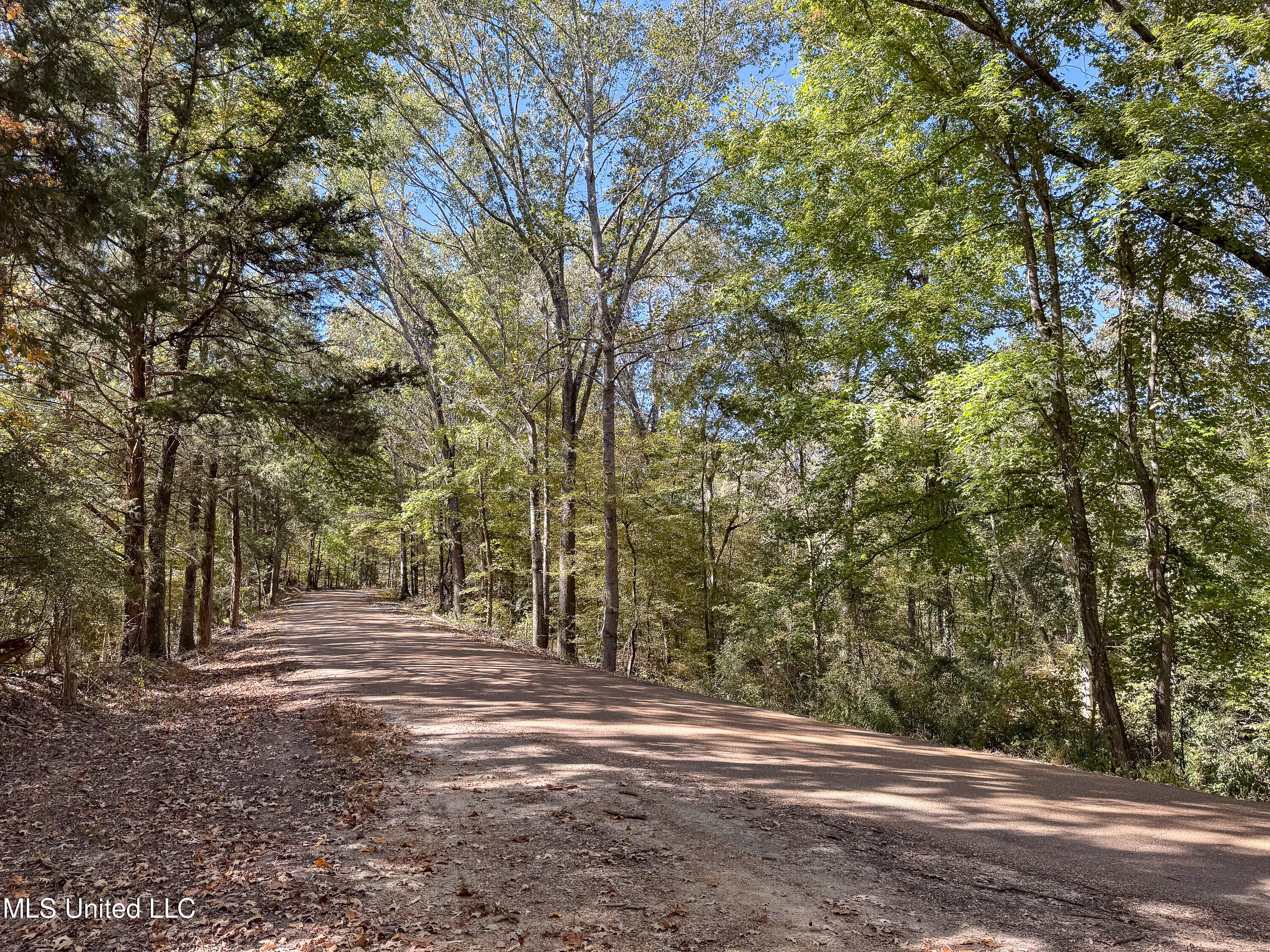 250 Hilderbrand Road Bentonia, MS 39040 - Photo 44 of 44 Quiet and Wooded Hilderbrand Road