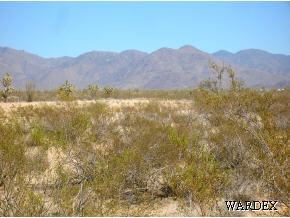 3053 South Dateland Road Yucca, AZ 86438 - Photo 4 of 5 Additional Photo