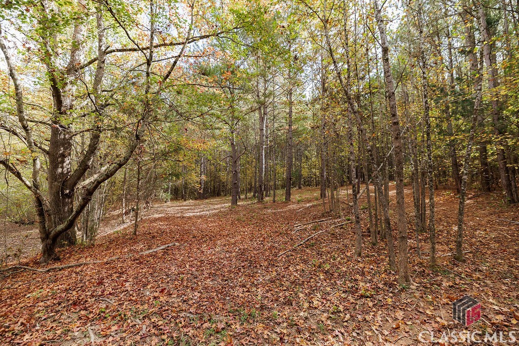 445 Hale Lane, Unit 4 Athens, GA 30607 - Photo 30 of 44