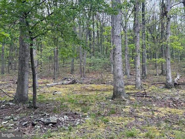 $39,900 | 0 Cut Off Road, Keyser, WV 26726