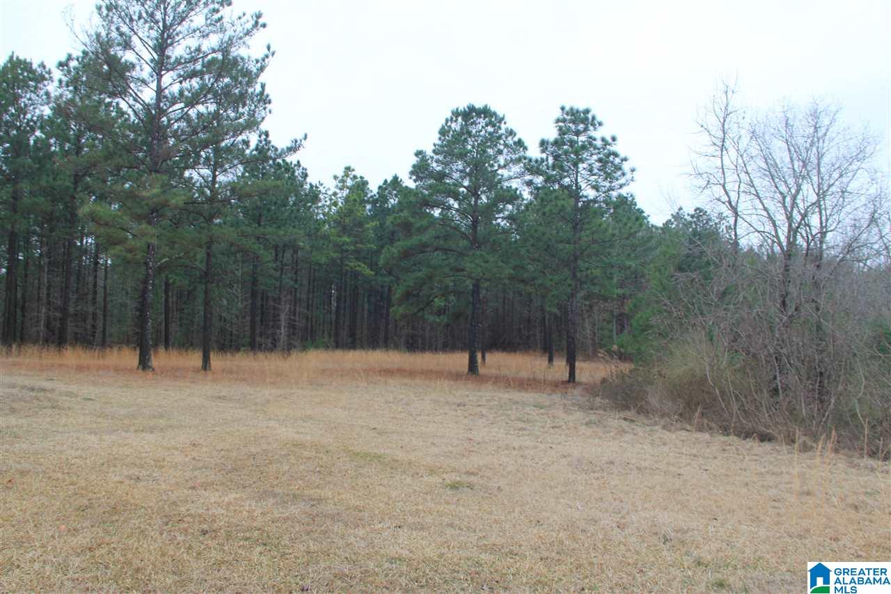 1910 Feddisburg Road Alpine, AL 35014 - Photo 1 of 7