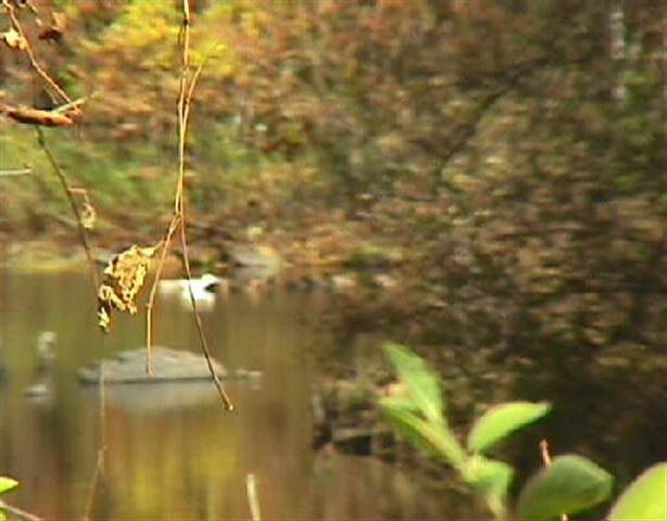Barger Road Rensselaerville, NY 12147 - Photo 4 of 5 Photo 4