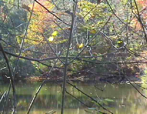 Barger Road Rensselaerville, NY 12147 - Photo 5 of 5 Photo 5