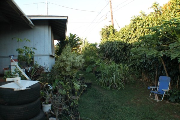 4959 La Road Kapaa, HI 96746 - Photo 3 of 15 a backyard of a house with table and chairs