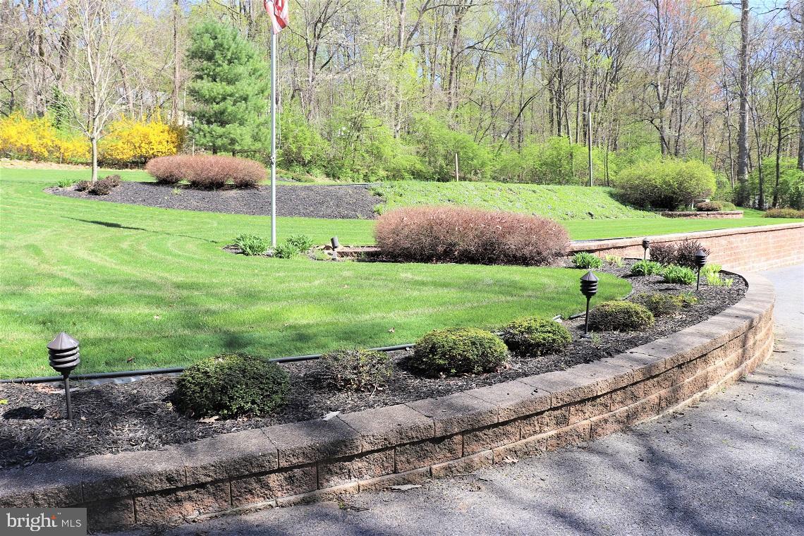 Beautifully Groomed Lawn, Shrubs & Flowerbeds