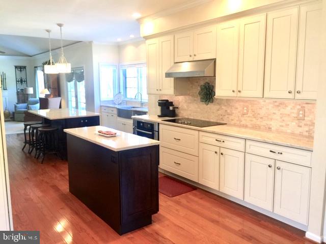 7 Farm Ridge Court Baldwin, MD 21013 - Photo 6 of 23 Kitchen w/ 2 Islands and TONS of storage