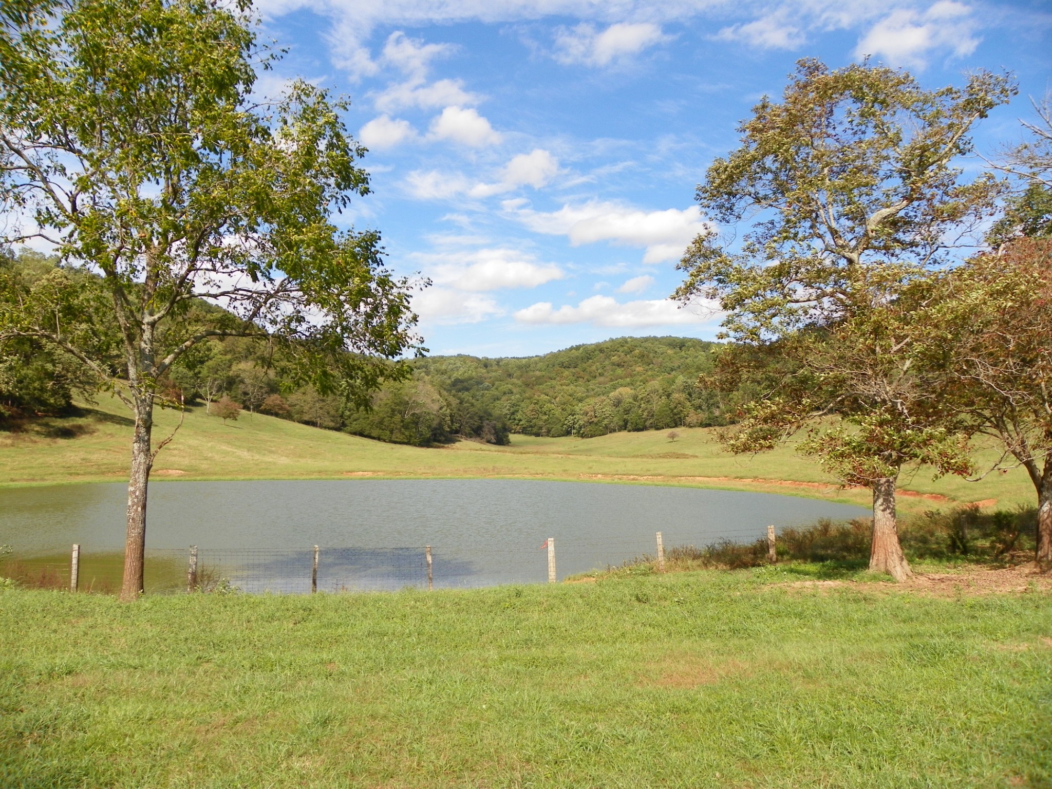 961 Jim Hennessee Road Sparta, TN 38583 - Photo 3 of 8 Gallery Image 3