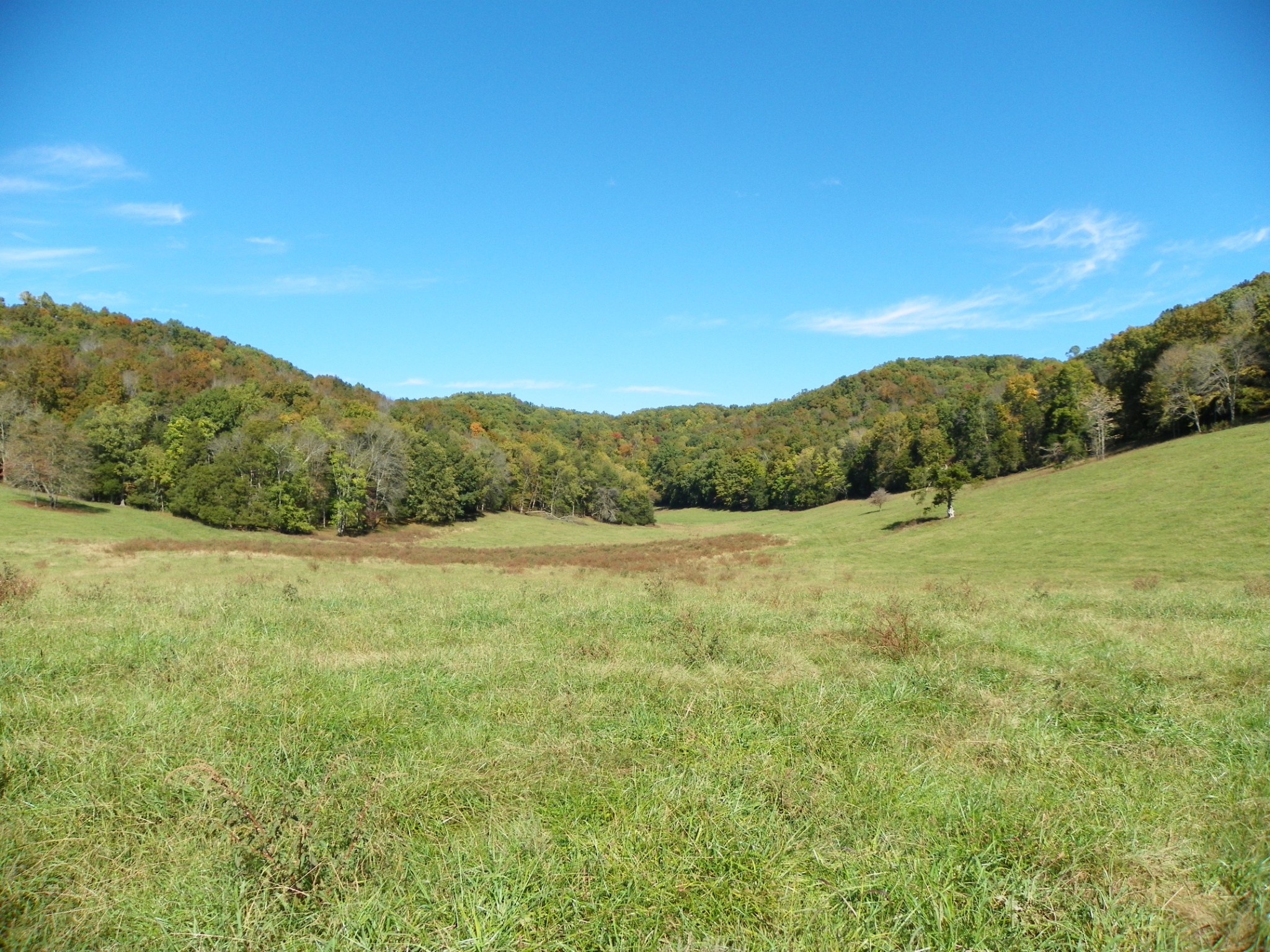 961 Jim Hennessee Road Sparta, TN 38583 - Photo 5 of 8 Gallery Image 5