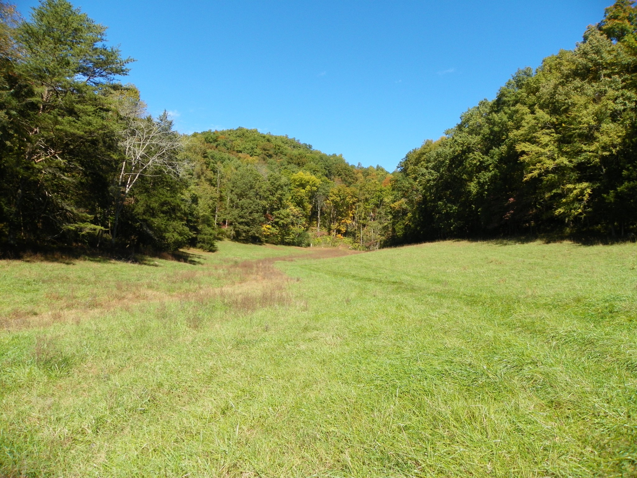 961 Jim Hennessee Road Sparta, TN 38583 - Photo 6 of 8 Gallery Image 6