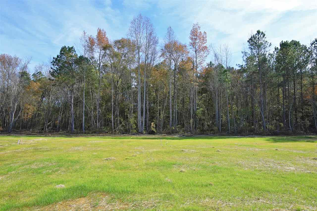 330 Colson Ridge Drive Clayton, NC 27520 - Photo 30 of 30 Photo 30