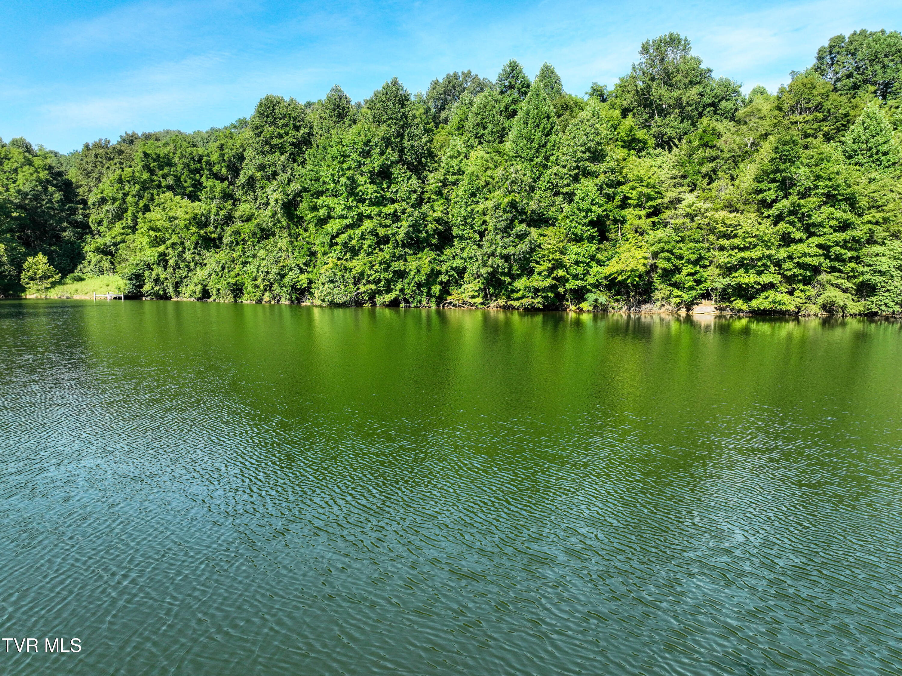 412 Haw Ridge East Piney Flats, TN 37686 - Photo 5 of 36 Lake Dr Drone VAUGHN-7