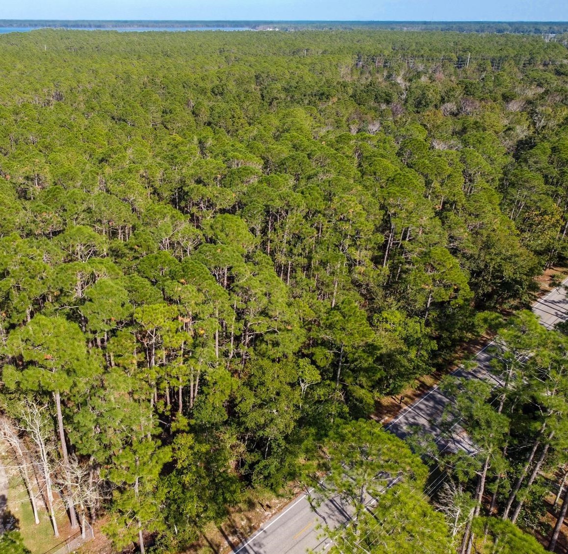 10790 County Road 1 Fairhope, AL 36532 - Photo 10 of 12