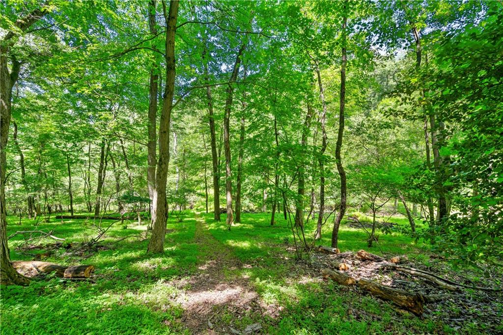 3315 Jackson Road Gibsonia, PA 15044 - Photo 48 of 50 Gallery Image 48