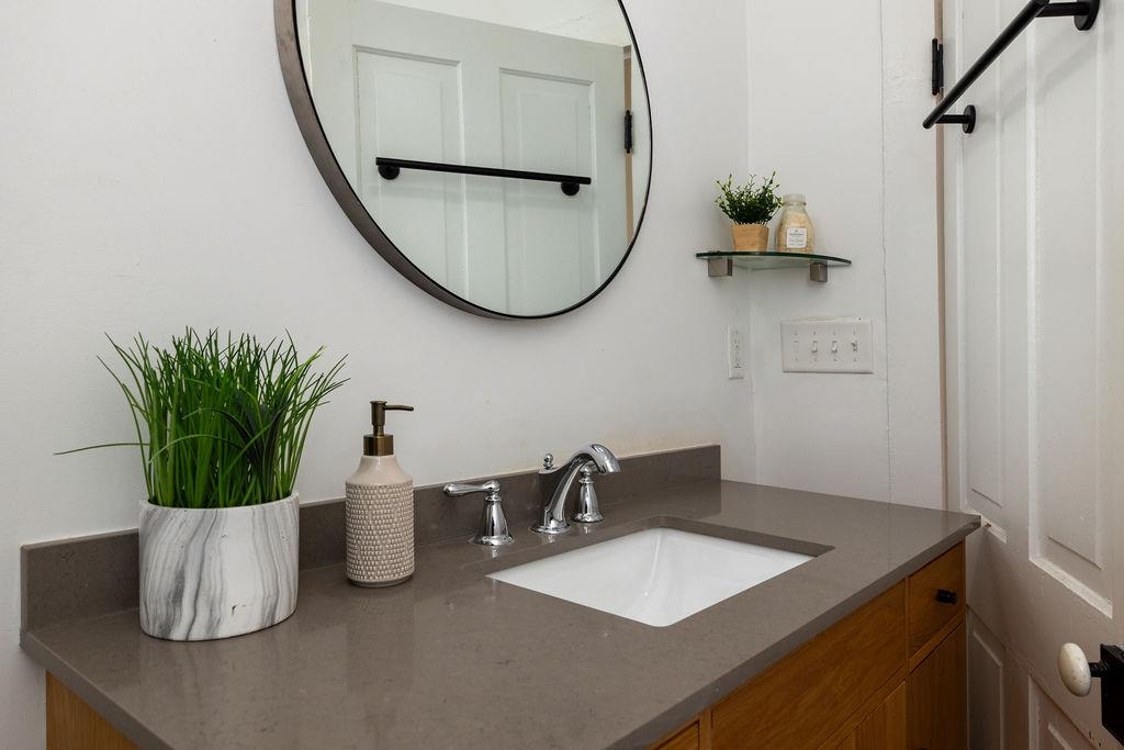 115 South Jefferson Street Staunton, VA 24401 - Photo 24 of 29 a bathroom with a sink a mirror and a potted plant