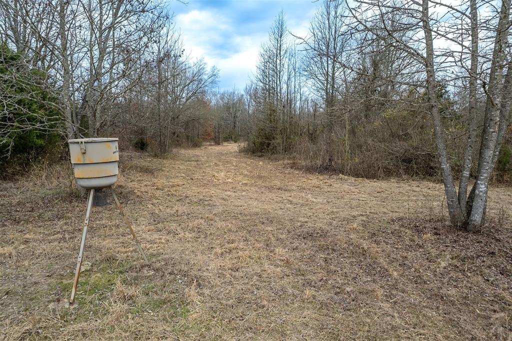139 Northwest County Road, Unit 1061 Talco, TX 75487 - Photo 18 of 39 a backyard of a house with table and chairs