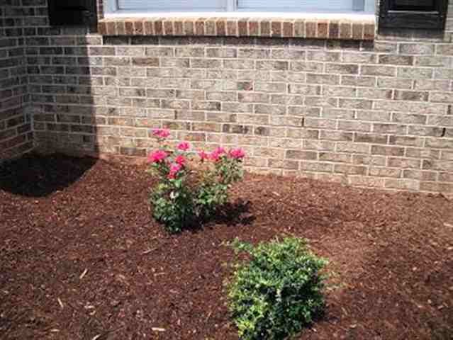 111 Crystal Lane Anderson, SC 29621 - Photo 3 of 12 Gallery Image 3