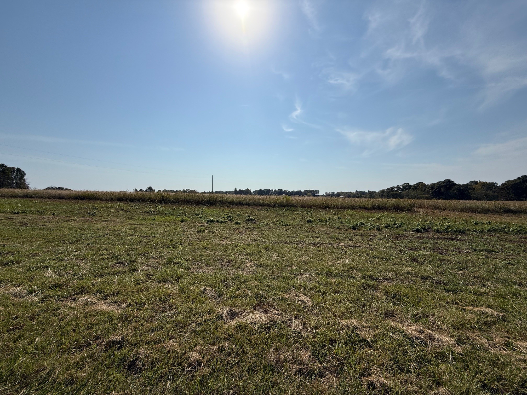 0 Green Ridge-Spa Road Lewisburg, KY 42256 - Photo 5 of 7 a view of a ocean view