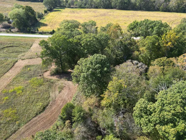 a view of a yard with an outdoor space