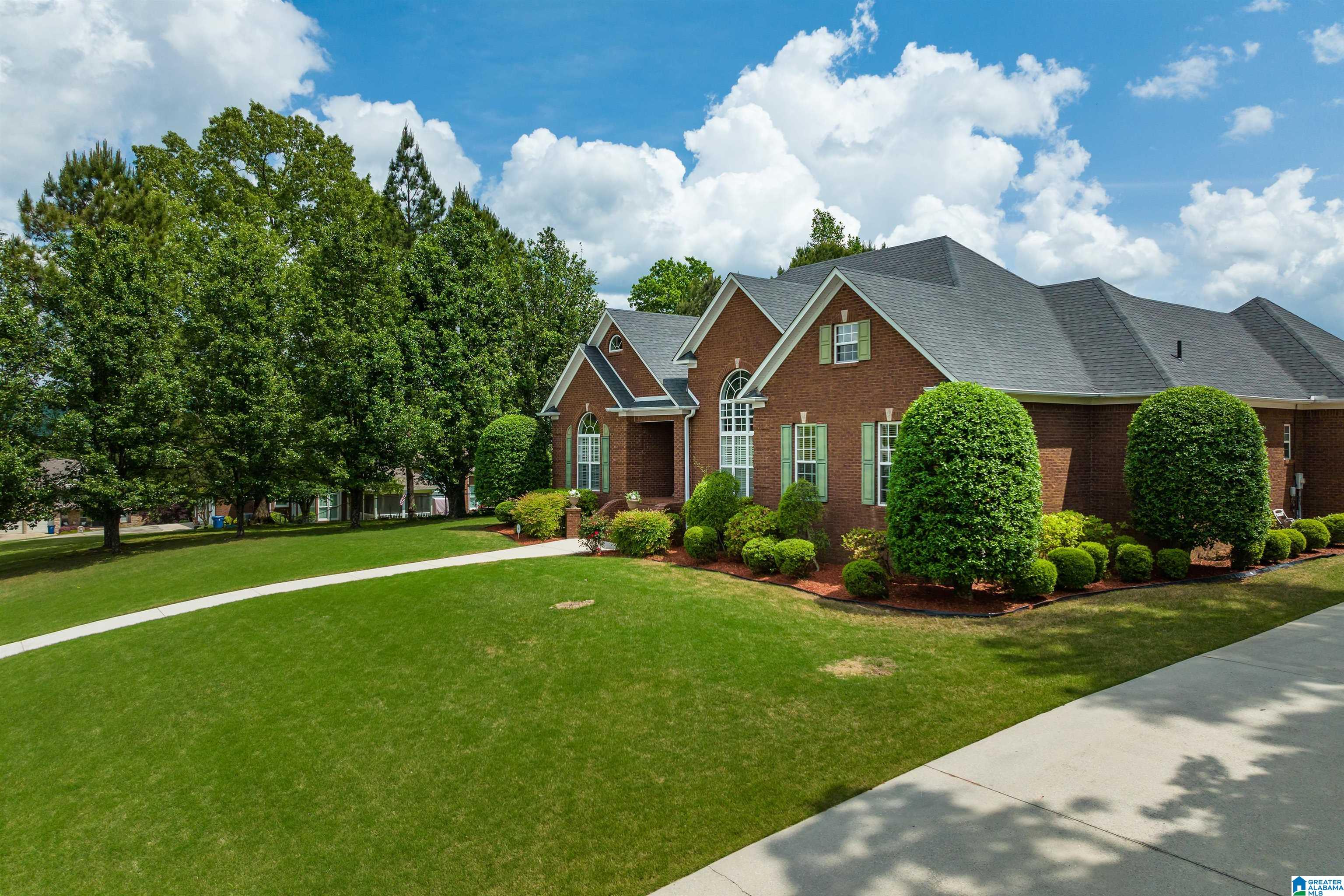 55 Kings View Court Oneonta, AL 35121 - Photo 3 of 37