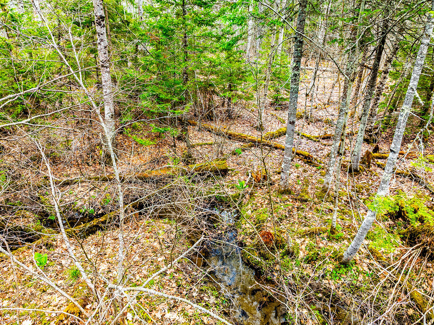 616 Slab City Road Lincolnville, ME 04849 - Photo 41 of 58