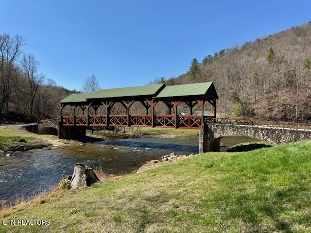 Lot 11 Rafter Road Tellico Plains, TN 37385 - Photo 17 of 18 IMG_3513