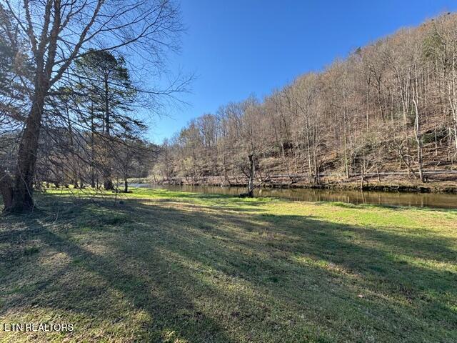 Lot 11 Rafter Road Tellico Plains, TN 37385 - Photo 2 of 18 IMG_3416