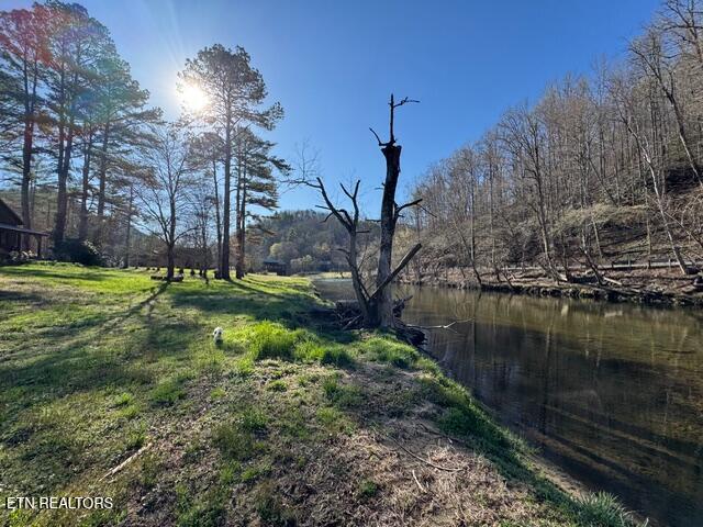 Lot 11 Rafter Road Tellico Plains, TN 37385 - Photo 3 of 18 IMG_3418