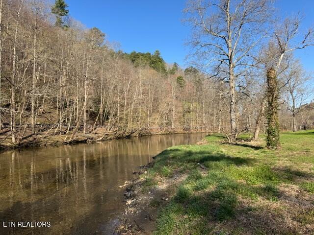 Lot 11 Rafter Road Tellico Plains, TN 37385 - Photo 4 of 18 IMG_3427
