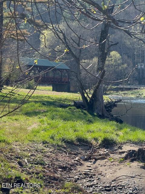 Lot 11 Rafter Road Tellico Plains, TN 37385 - Photo 6 of 18 IMG_3431