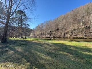 Lot 11 Rafter Road Tellico Plains, TN 37385 - Photo 7 of 18 IMG_3416 (1)
