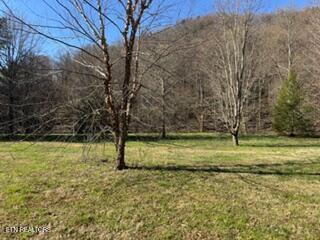 Lot 11 Rafter Road Tellico Plains, TN 37385 - Photo 10 of 18 IMG_3441