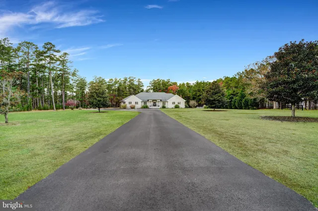 a view of a grassy field with trees in the background