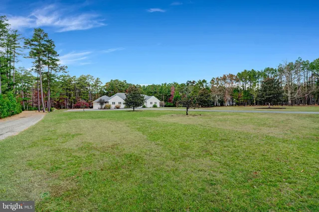 a room with wooden floor and a potted plant
