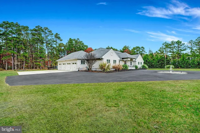a view of a park with large trees