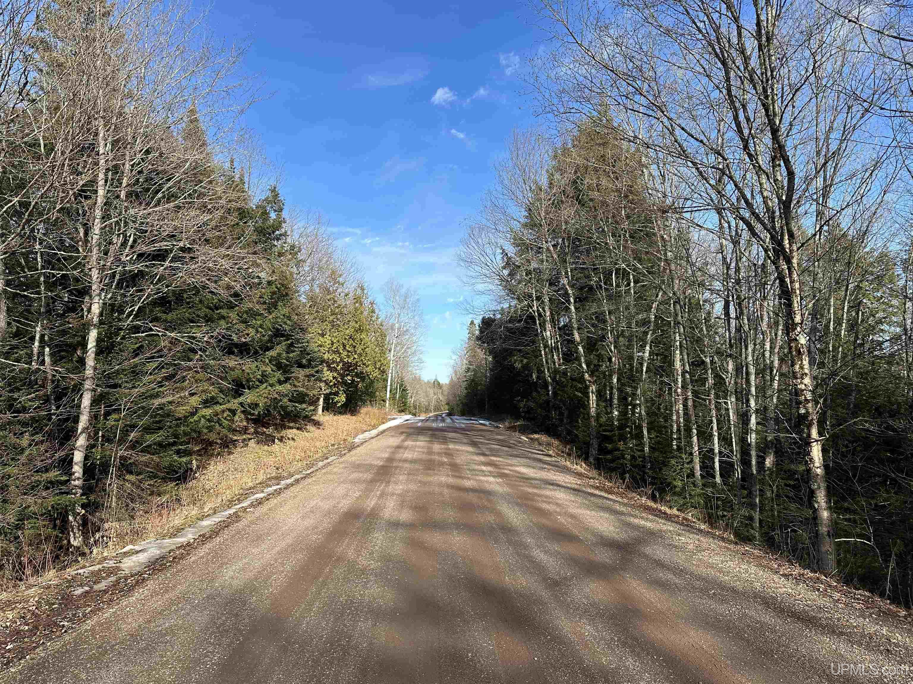 8300 Rd Marenisco Mi 49947 Road Marenisco, MI 49947 - Photo 13 of 13