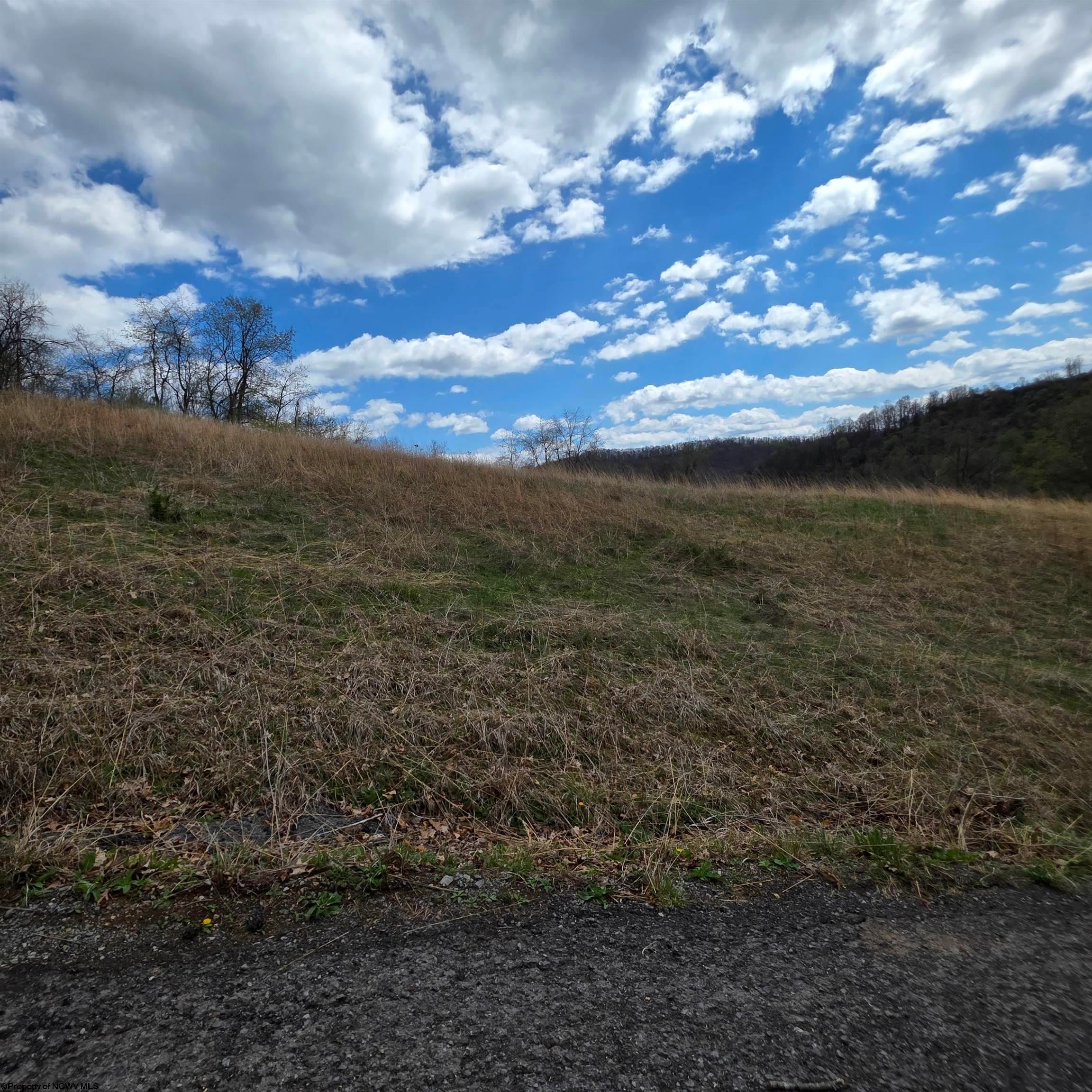 Tbd Simpson Run Road Weston, WV 26452 - Photo 10 of 19 Gallery Image 10