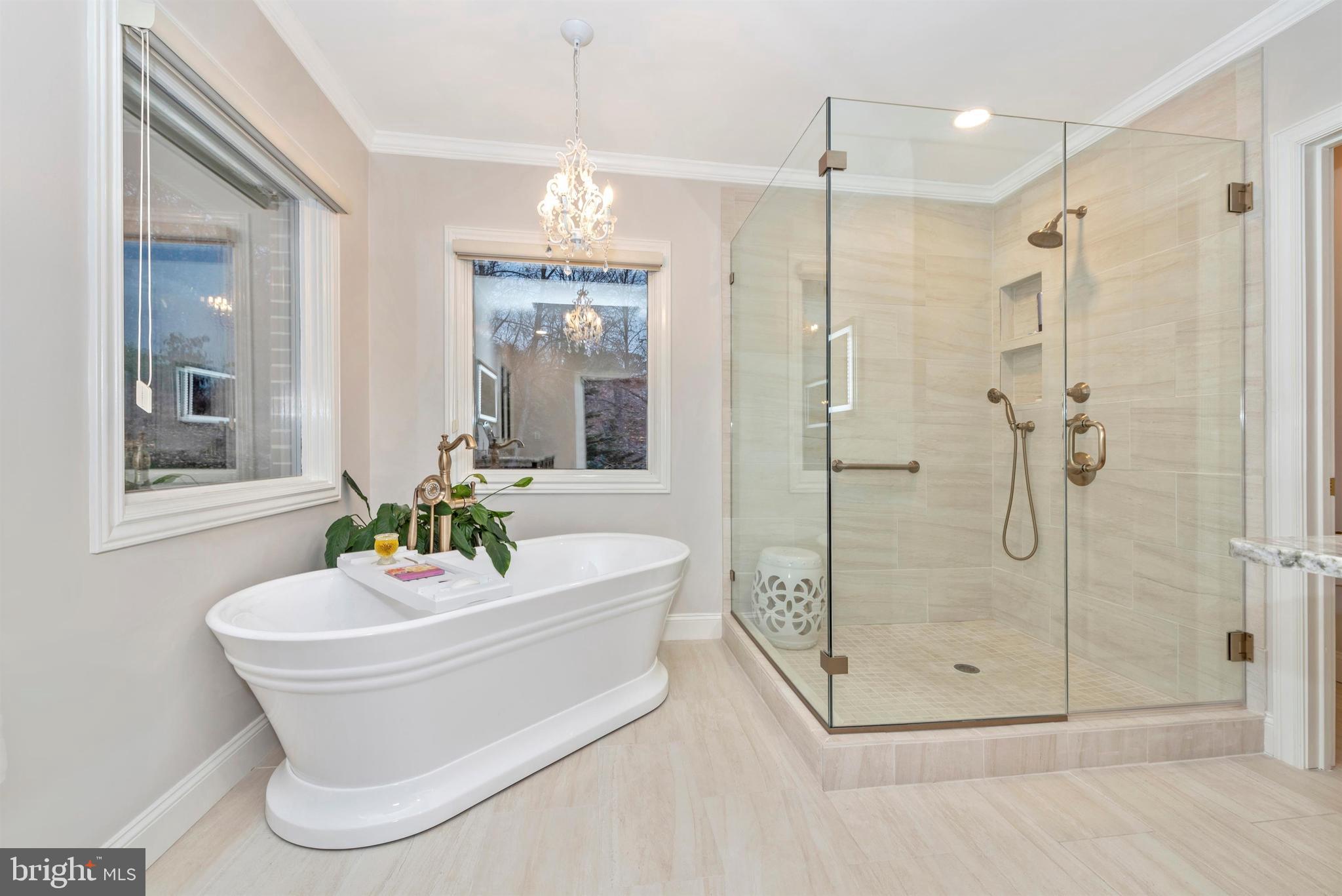 5386 Stone Road Frederick, MD 21703 - Photo 56 of 66 Updated master bath with standalone soaking tube.