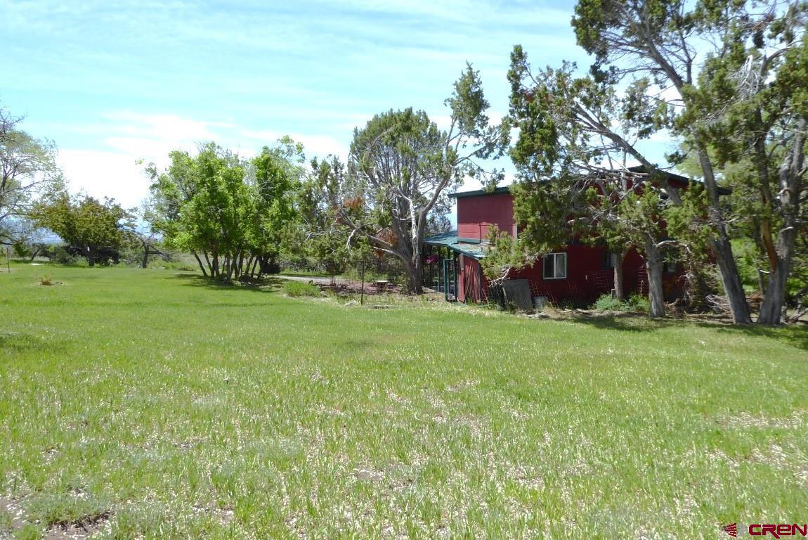 21550 2300th Road Cedaredge, CO 81413 - Photo 25 of 35 a view of a house with a yard
