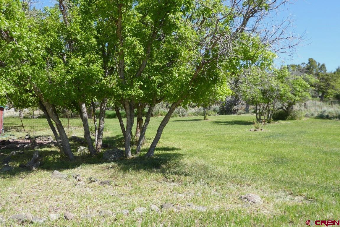 21550 2300th Road Cedaredge, CO 81413 - Photo 26 of 35 a backyard of a house with lots of green space