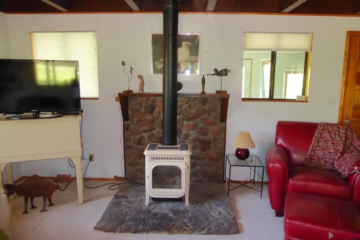 21550 2300th Road Cedaredge, CO 81413 - Photo 6 of 35 a living room with furniture a flat screen tv and a fireplace